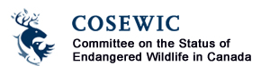 committee-on-the-status-of-endangered-wildlife-in-canada-cosewic