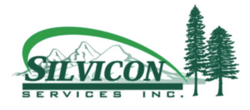silvicon-services-inc